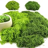 Hopton 100g Kunstmoos zum Dekorieren, Moos Deko, Moos zum Basteln, Islandmoos, Kunstrasen zum Basteln, Kunstpflanze, Fake Pflanzen für Übertöpfe Künstlicher Pflanzen, Aquarium, Krippe Modellbau