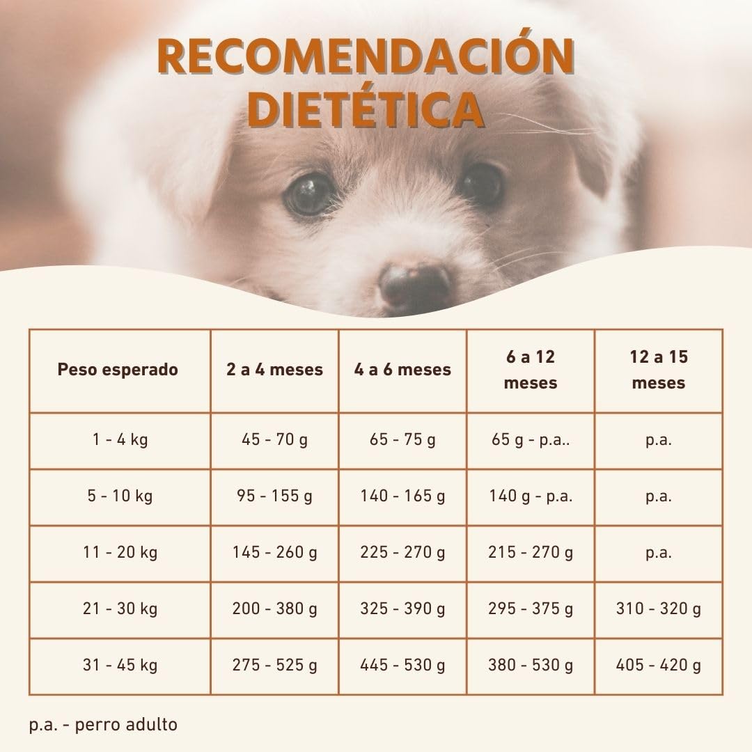 Wildfang® Alimento Seco para Perros 6kg – Pienso Premium con Pollo y Pavo, Sin Cereales ni Gluten, con Ingredientes Naturales, Sin Azúcar Añadido Comida para Cachorros y Perros Pequeños – Paquete de 1