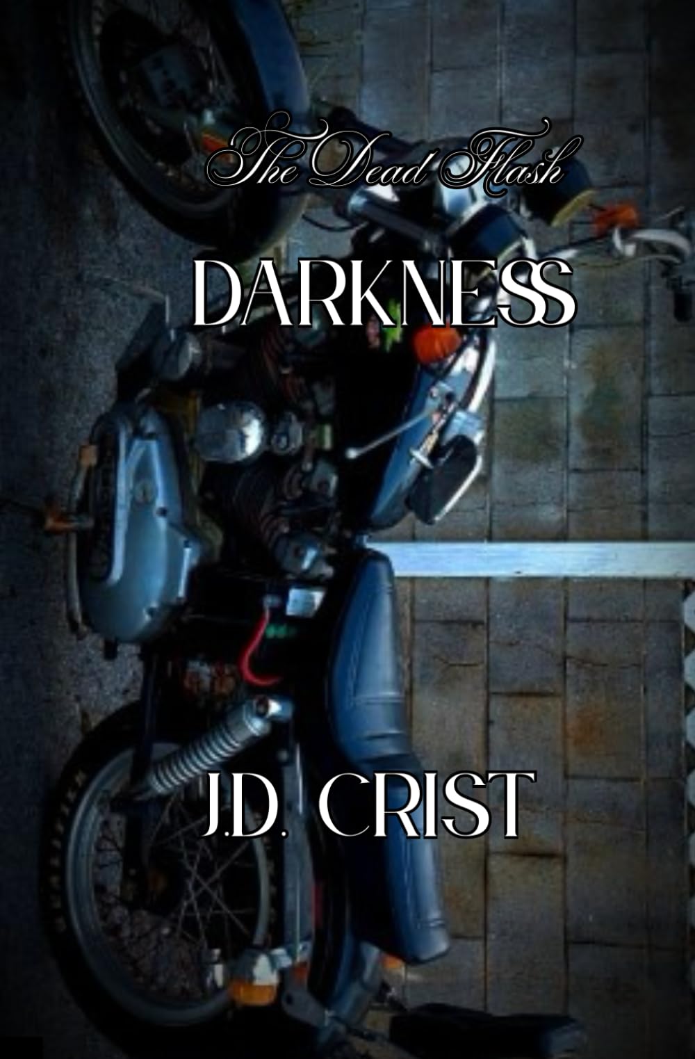 Darkness: The Dead Flash Series: 3