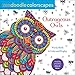 Zendoodle Colorscapes: Outrageous Owls: Wacky Birds to Color and Display