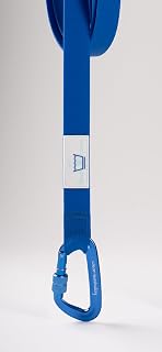 Machine Washable Dog Leash: Clean-Leash Detachable System (Electric Glowing Blue)