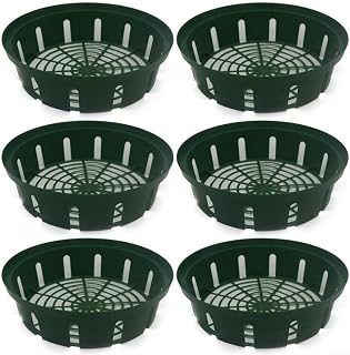 ZWEquipint Paquete de 6 cestas de plástico para cultivo, para bulbos de flores, contenedor de plantación de jardín, forma rectangular, con diseño calado 26, 22, 6,5 cm, color verde