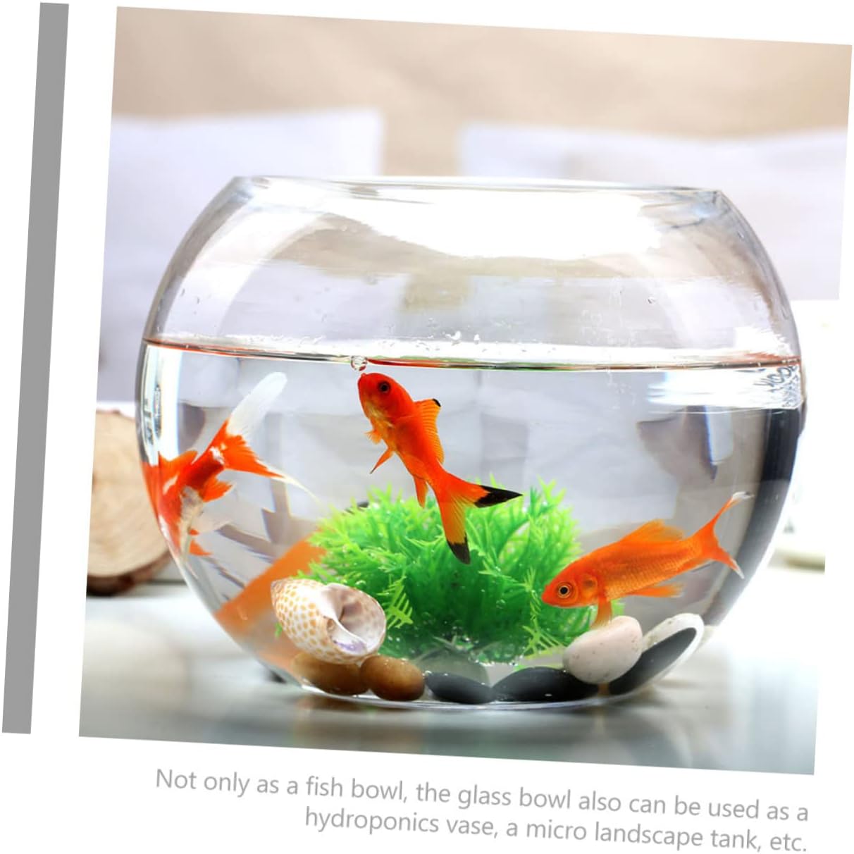 Cabilock Glass Fish Bowl Transparent Aquarium for Small Fish Decorative Desktop Tank for Home Office Design for and Water Plants Compact