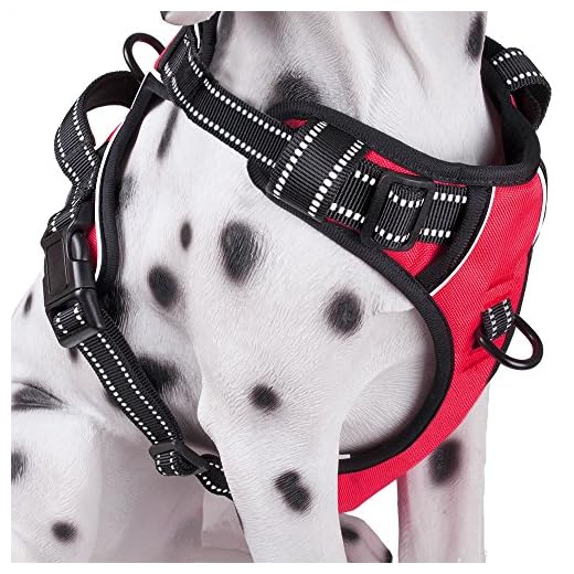 PoyPet No Pull Dog Harness Reflective Vest Harness | Dog Harness PoyPet No Pull Dog Harness, Reflective Vest Harness with Front & Back 2 Leash Attachments and Easy Control Handle for Small Medium Large Dog (Red, XL)