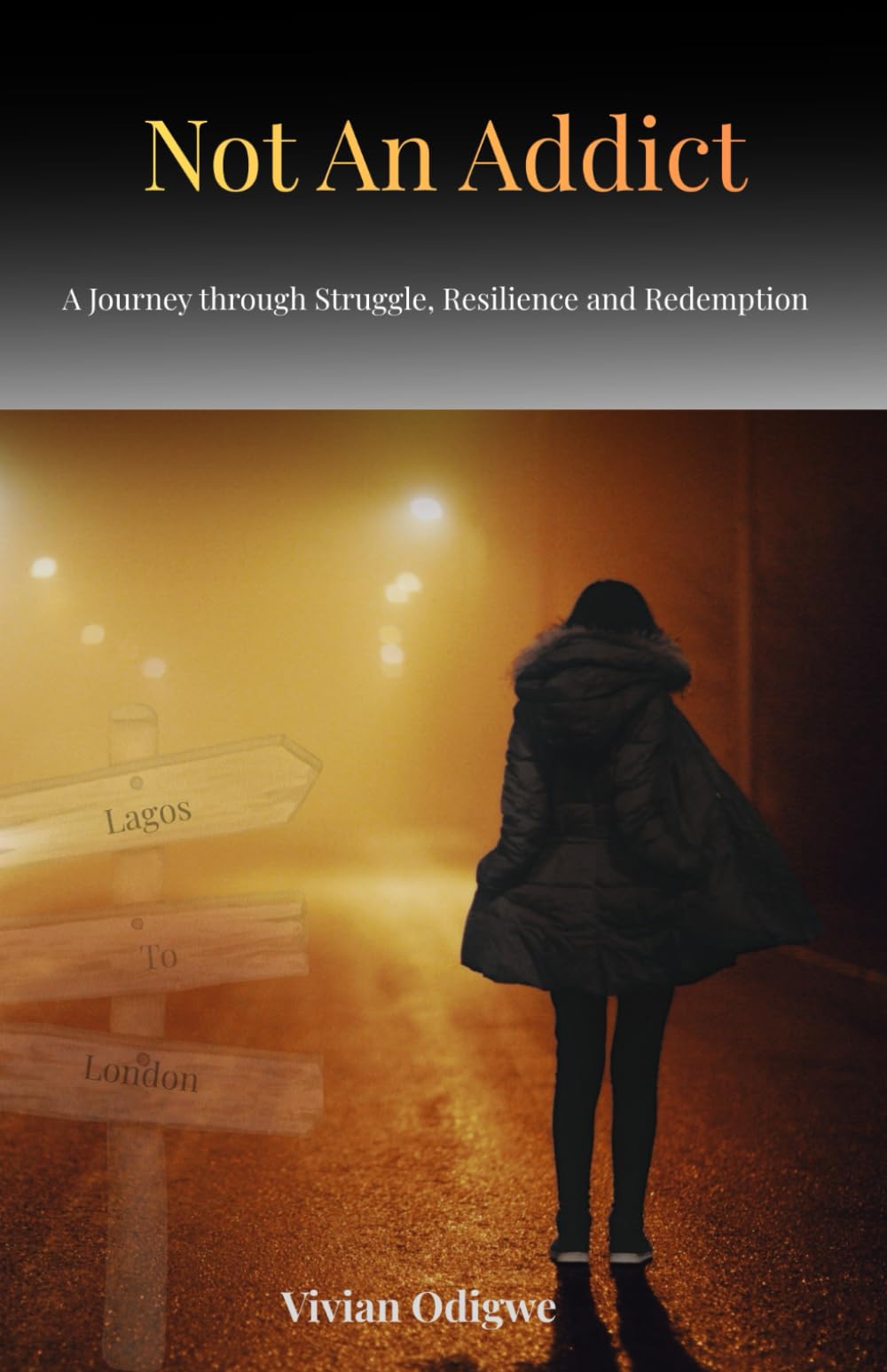 Not An Addict: A Journey through Struggle, Resilience and Redemption