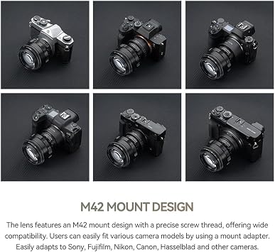 TTArtisan 75mm F1.5 Swirly Bokeh Full Frame Camera Lens Large Aperture Lens Compatible with M42 Mount Camera Lens (Black)