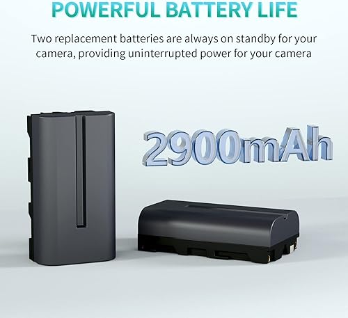Miniatura 3 de LP Paquete de cargador de batería NP-F550, paquete de 2 baterías de 2900 mAh y cargador de doble ranura, compatible con Sony NP F970, F960, F770,