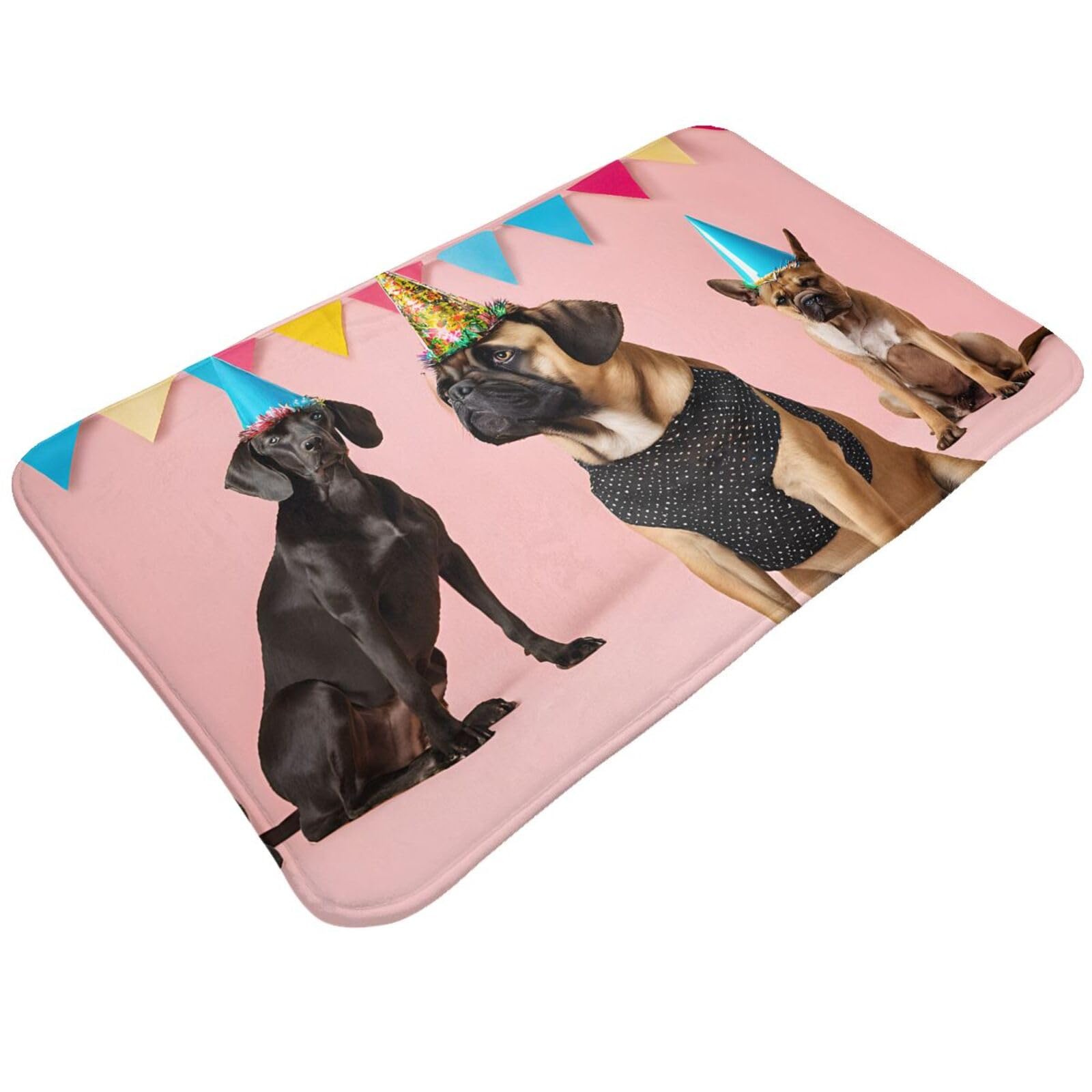 French Bulldog Print Print Living Room Bathroom Kitchen Anti Slip and Absorbent Carpet, Indoor Entrance Door Muddy Floor Mat, Ultra Soft Washable Carpet 21x31.5 Inches