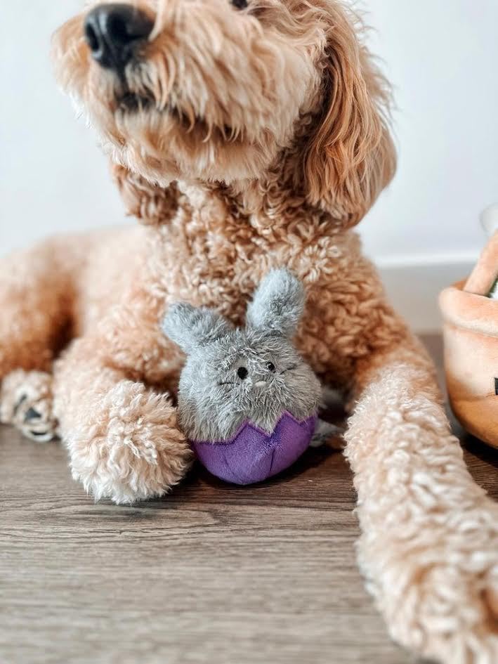 Midlee Set de 3 Juguetes Mordibles Conejo de Pascua para Perros miniatura 6