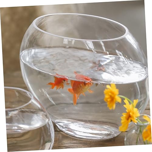 Miniatura 6 de Tanque de peces plano Jardinera hidropónica de vidrio acuario de vidrio Cuenco hidropónico Jarrón de vidrio Jarrón de planta de agua Jarrón de