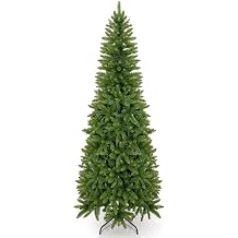 7       Kingswood Fir