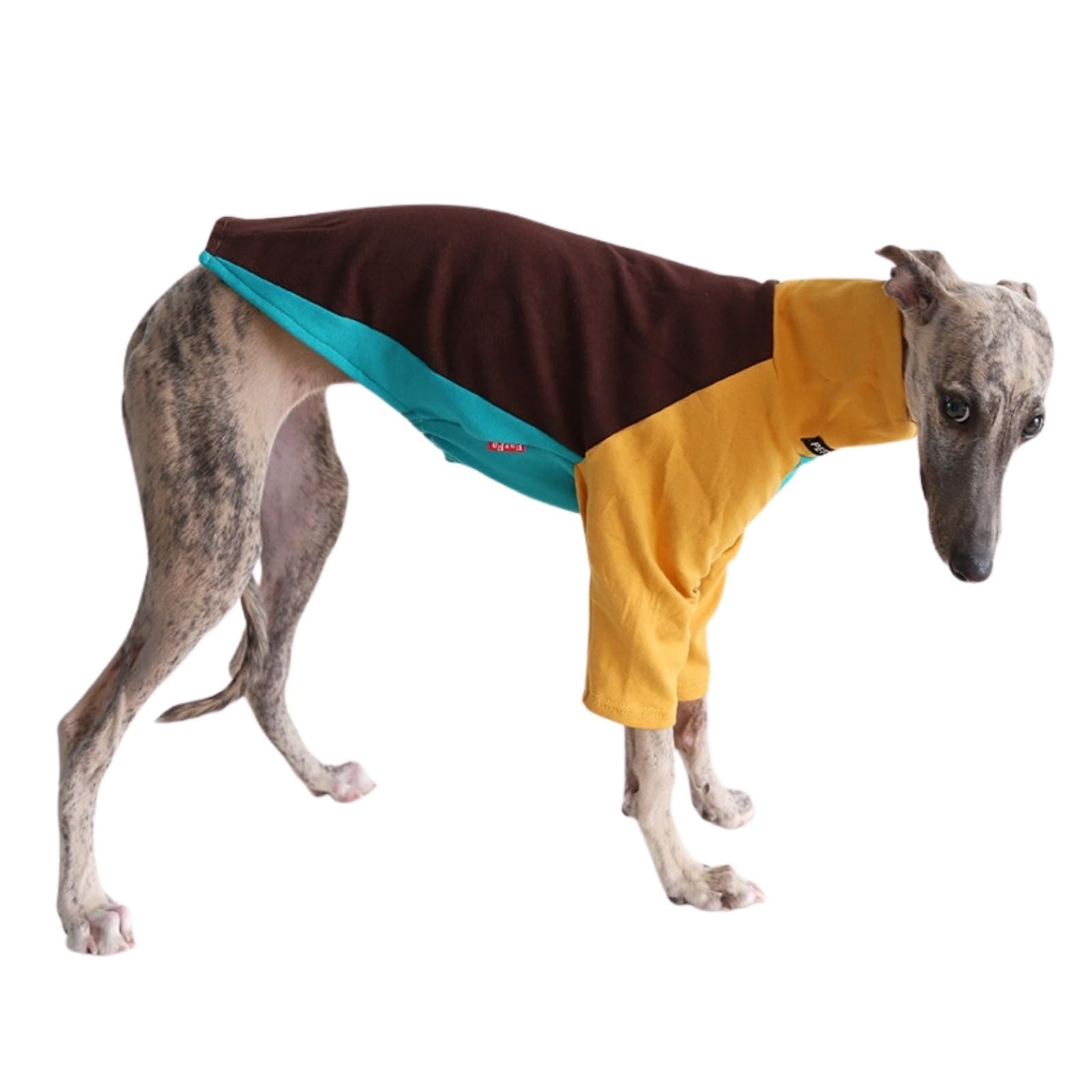 Italian Greyhound Whippet T-Shirt Jumper,Dog Tri-Color Sweatshirt Sighthounds Autumn Winter Spring Coat Skinny Dog Pullover Pajamas_XS(Yellow Brown)