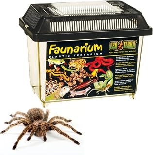 Exo Terra Faunarium Small PT2255 Reptile Terrarium - Portable Plastic Habitat for Lizards, Spiders, Amphibians & Insects