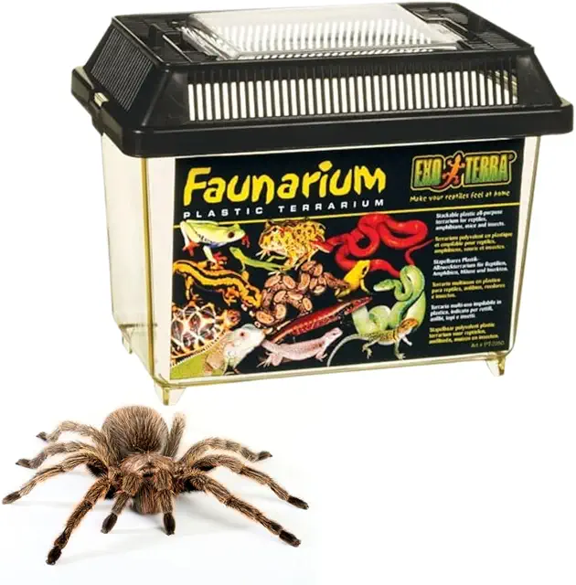 Exo Terra Faunarium: Natürliches Terrarium für Reptilien, Amphibien & Insekten, 23x16,5x15,5cm