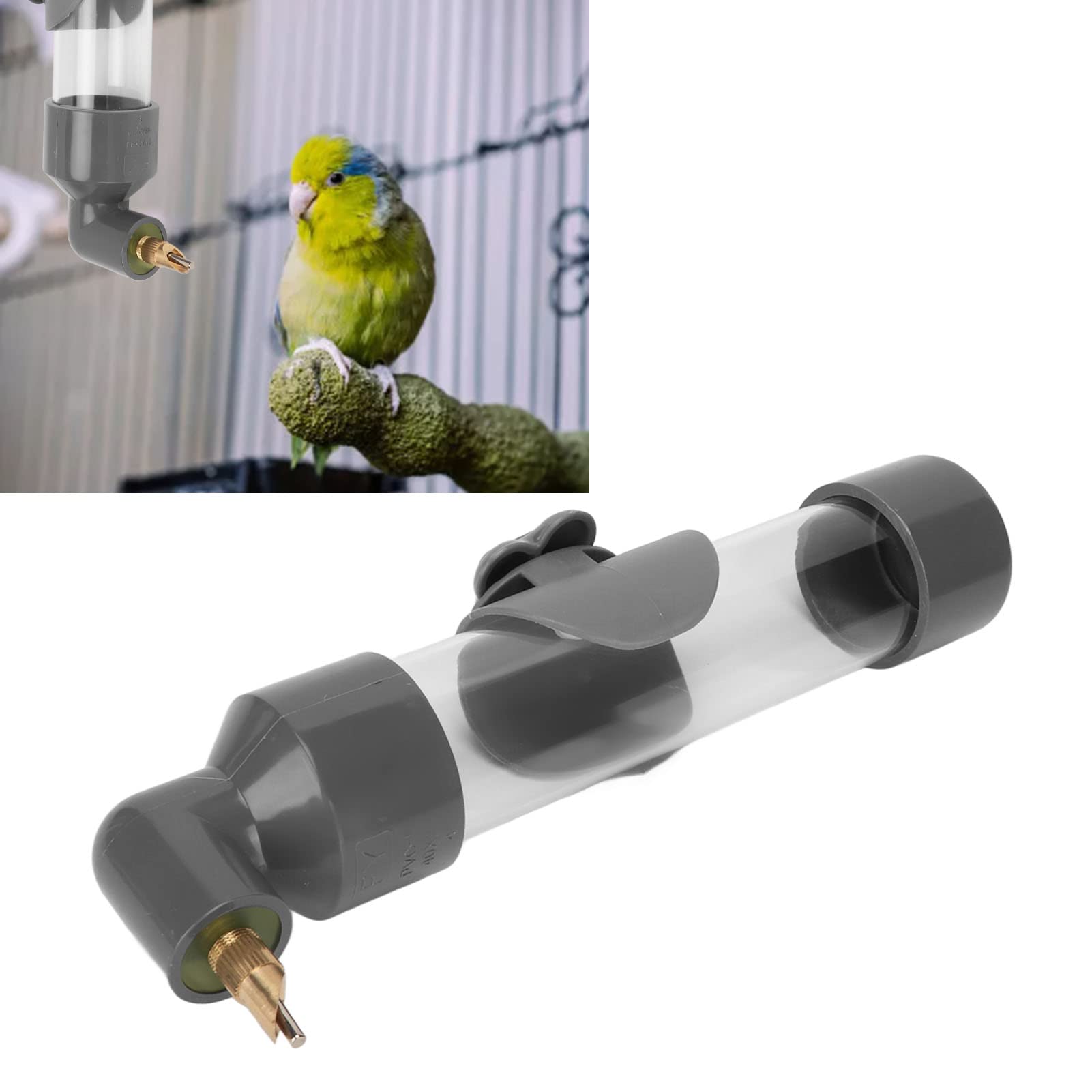 Abbeveratoio Automatico per Pappagalli, Beccuccio per Massaggiagengive in Acrilico, Beverino per Uccelli di Grande capacità per Piccoli Pappagalli Medi per Accessori per Gabbie per Uccelli (Grigio)