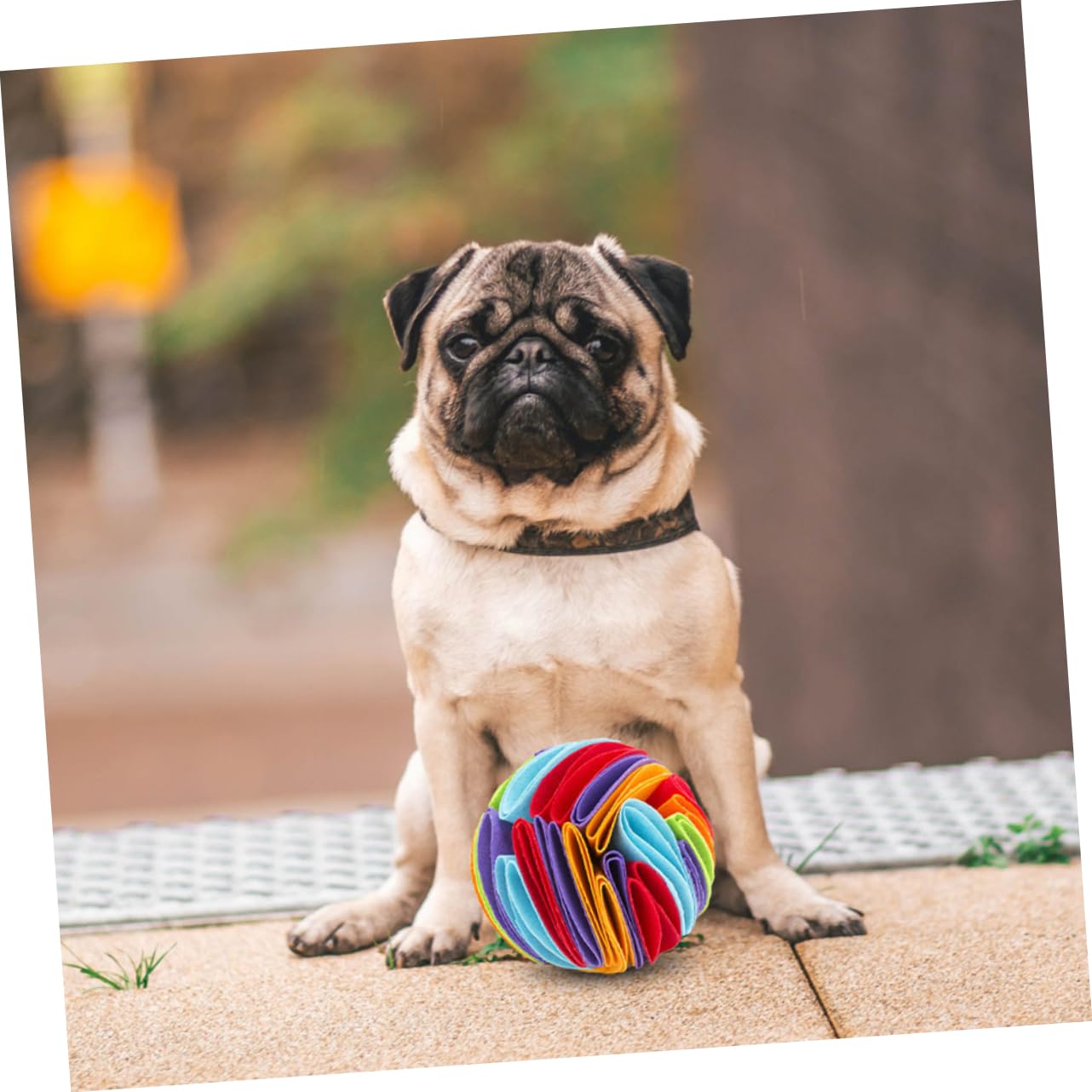Angoily 4stücke Interaktive Schnüffelspielzeuge Für Hunde Futterleckball Für Langsames Fressen Für Kleine Bis Große Haustiere Fördert Geistige Und Körperliche Aktivität