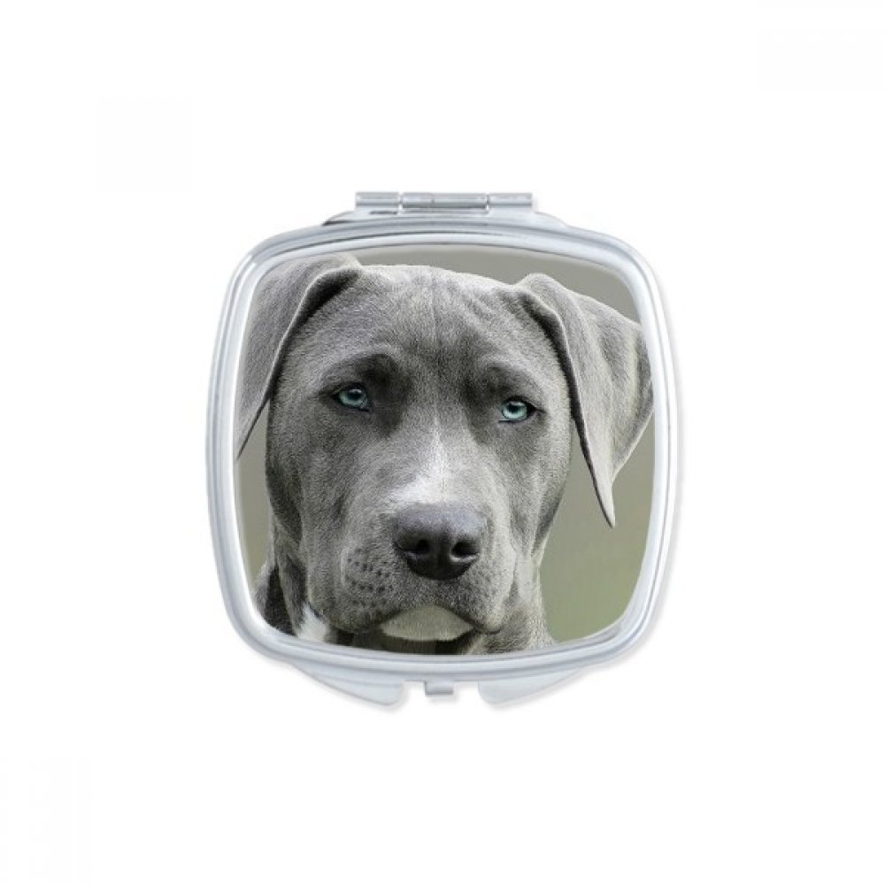 Miroir de poche fait main motif chien, le cadeau mignon idéal