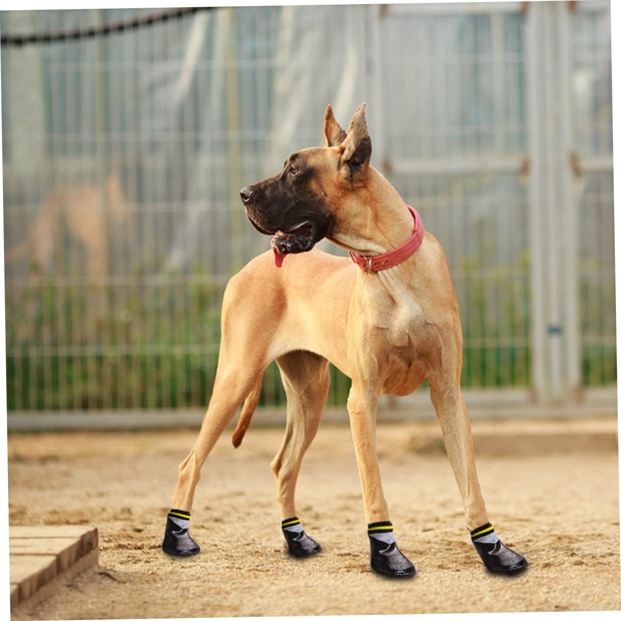 FOMIYES 3 Sets Schuhe Für Hundewelpen Booties Und Socken – Schuhe Für Im Freien Größe 5 Schwarz