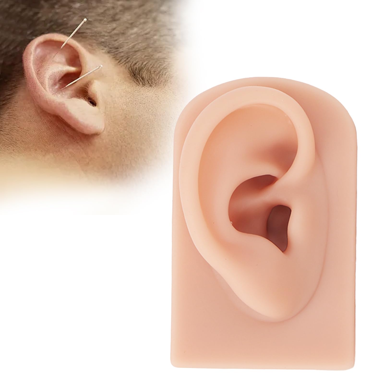 Modèle d'oreille en silicone souple, 2pcs Modèle d'oreille en silicone souple, Modèle de fausse oreille, Modèle de boucles d'oreilles pour l'étude, la pratique, les outils(Couleur chair moyenne)