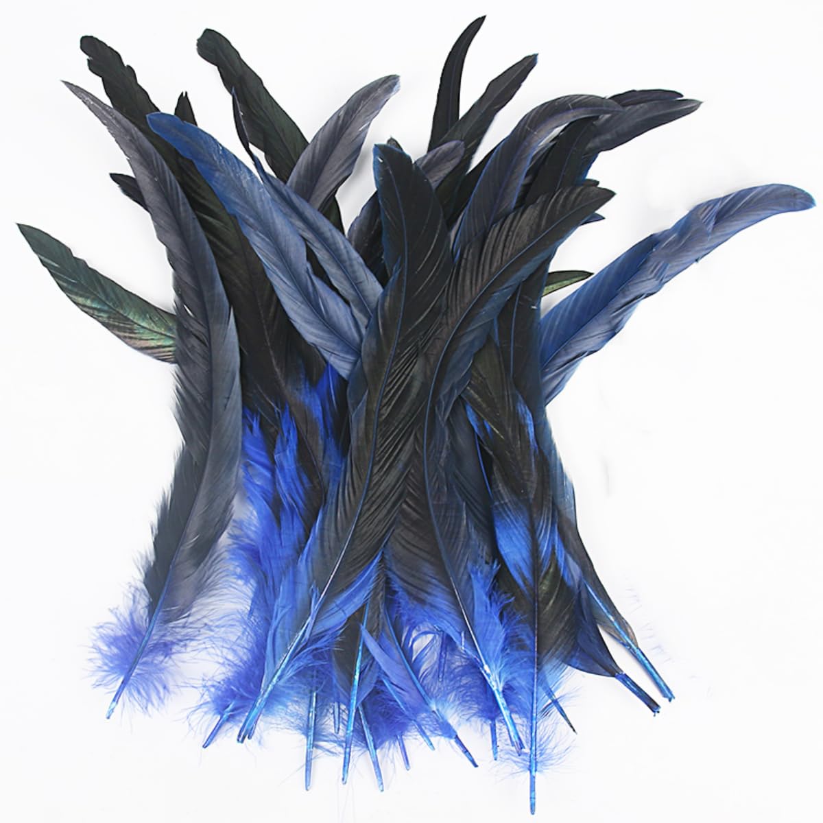 Natural Blue Rooster Tail Feathers,55pcs 8-10inch 20-25cm Bulk Long Rooster Feathers,for DIY Crafts Costume and Halloween Party Performances