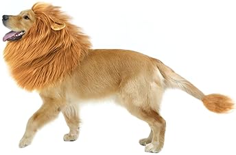Explore Lion Mane Costumes For Dogs Amazon Com