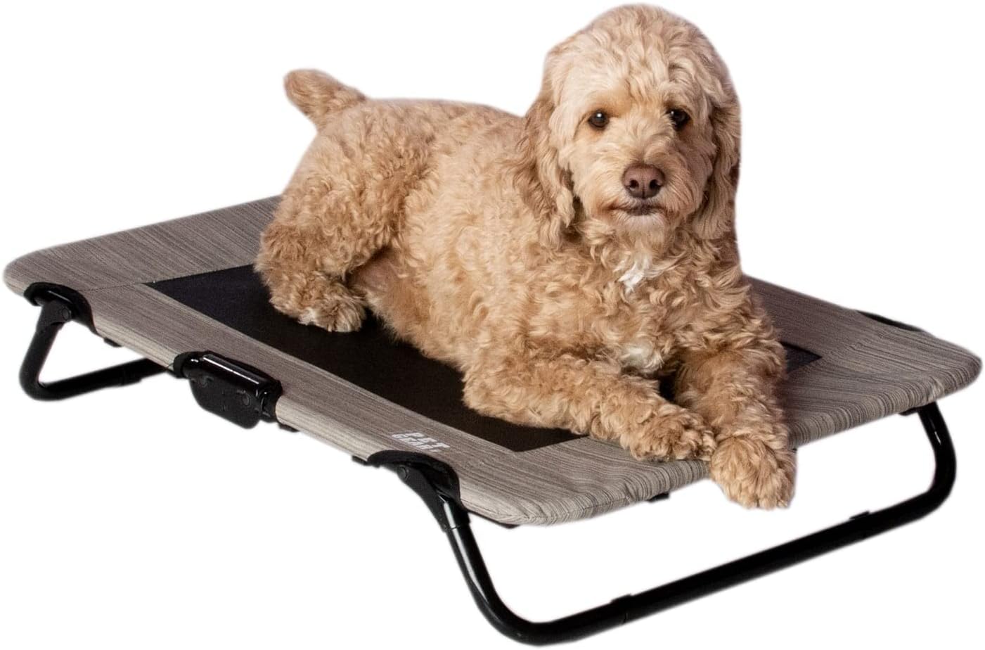 Pet Gear Lifestyle Pet Cot Elevated Bed, No Assembly Required, Premium Tear Resistant Cooling Mesh, Indoor & Outdoor, Lightweight & Portable, 3 Models, 2 Colors