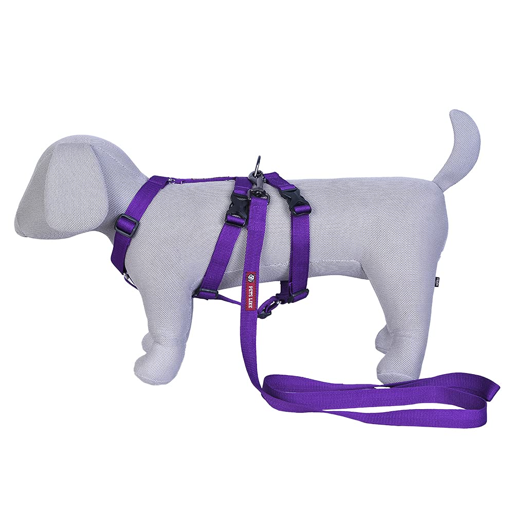 Pets Like Double H Harness with Leash Set Purple (Small) (B09D3BJH46) Amazon Price History, Amazon Price Tracker