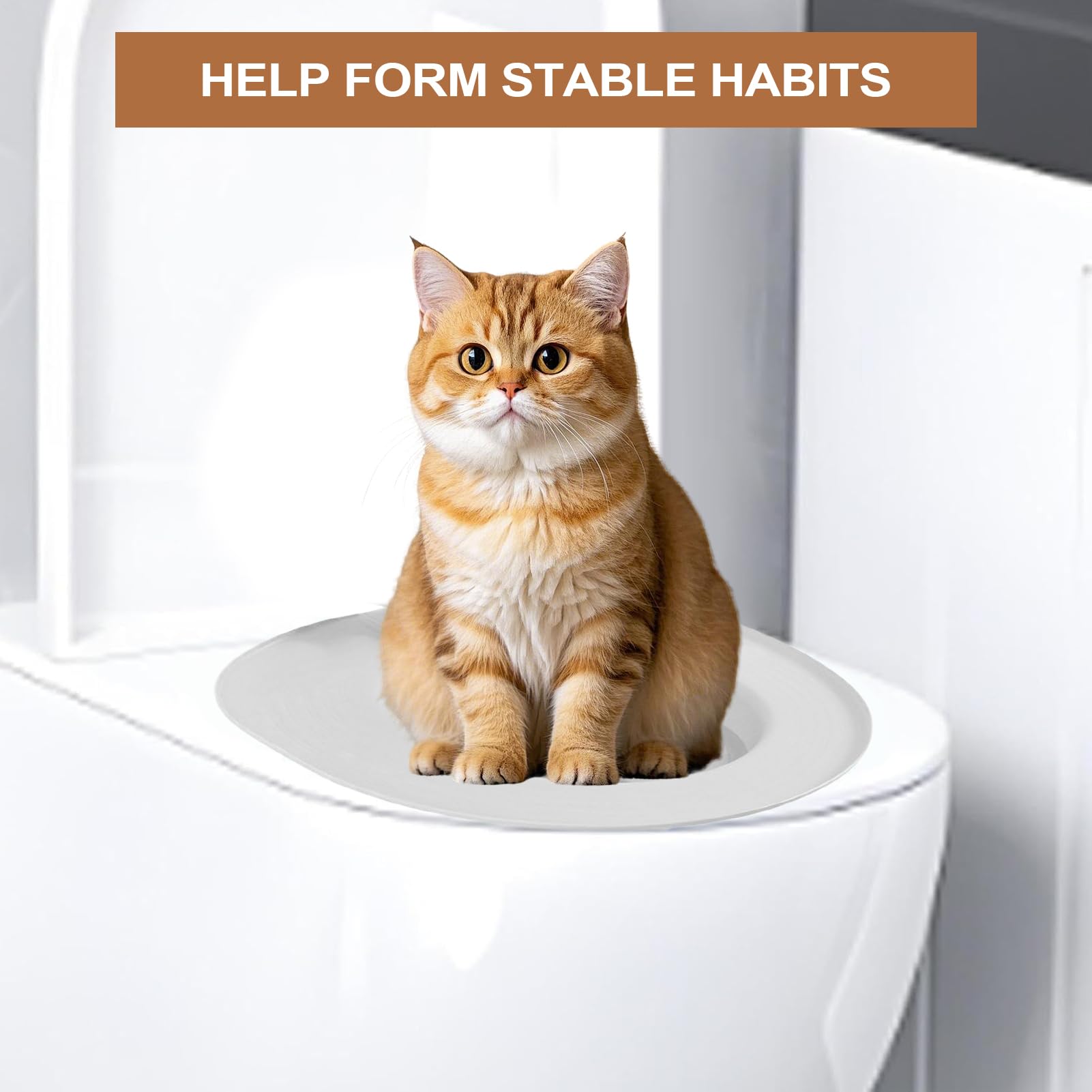 Kit di addestramento per il bagno dei gatti - Kit di addestramento per il sedile del WC dei gatti - Strumento sanitario con base non forata per gattino animale domestico