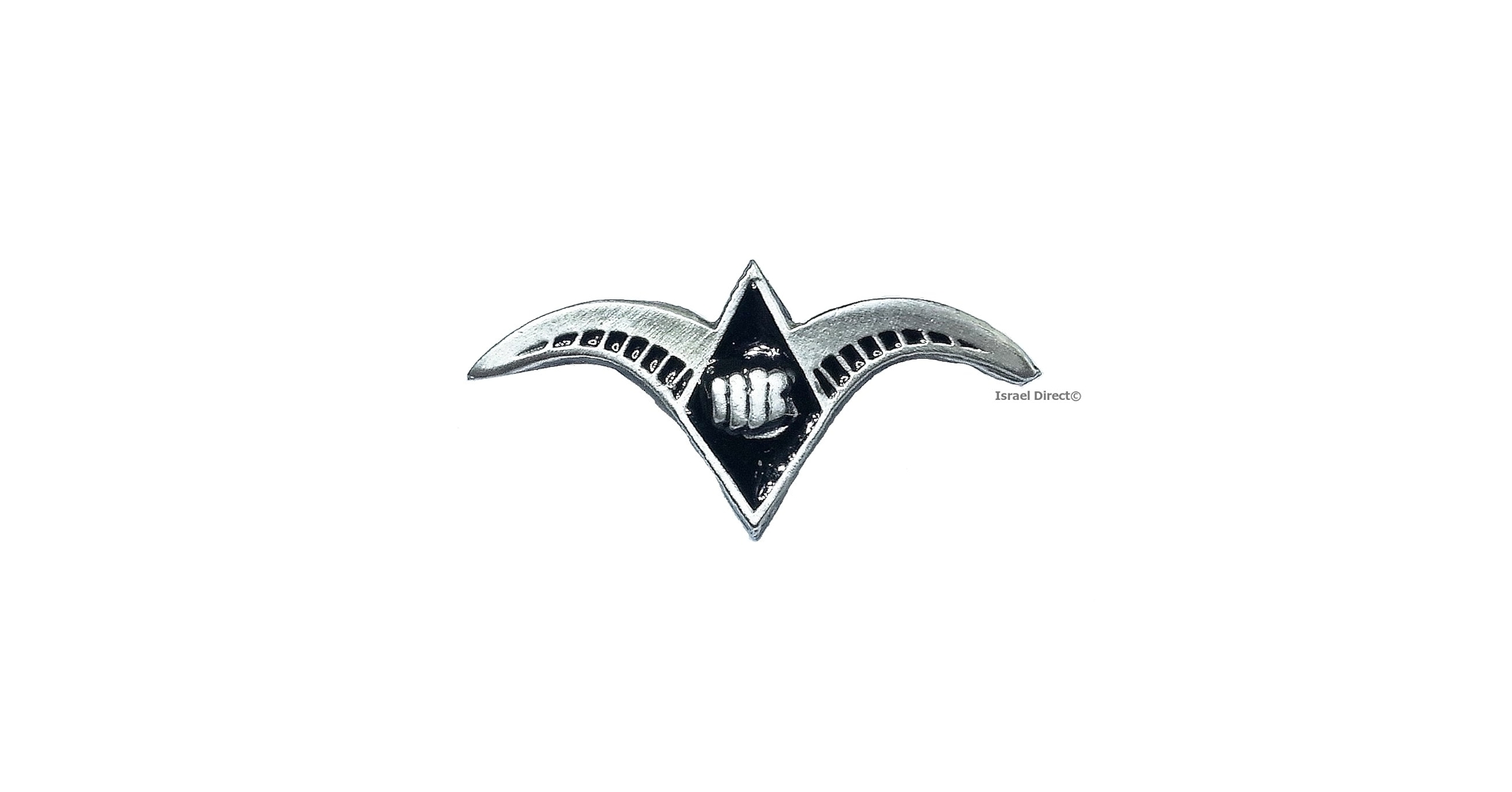 IDF イスラエル空軍　バージ ピン Badge Pin　A 614Or3vR25L.jpg_BO30,255,255,