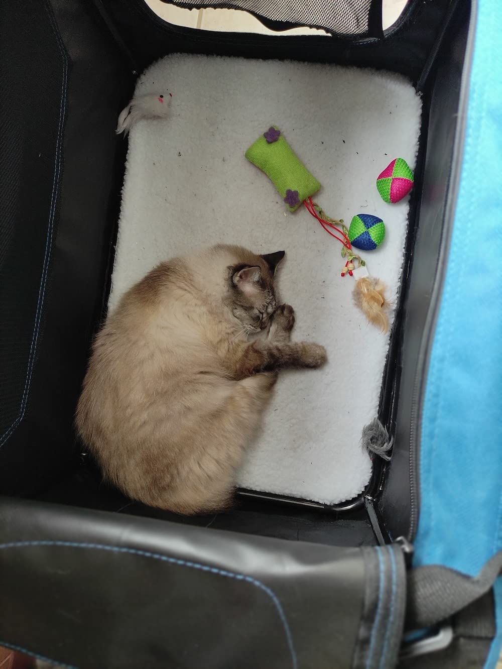 12/mo Finance AmazonBasics Premium Folding Portable Soft Pet Crate