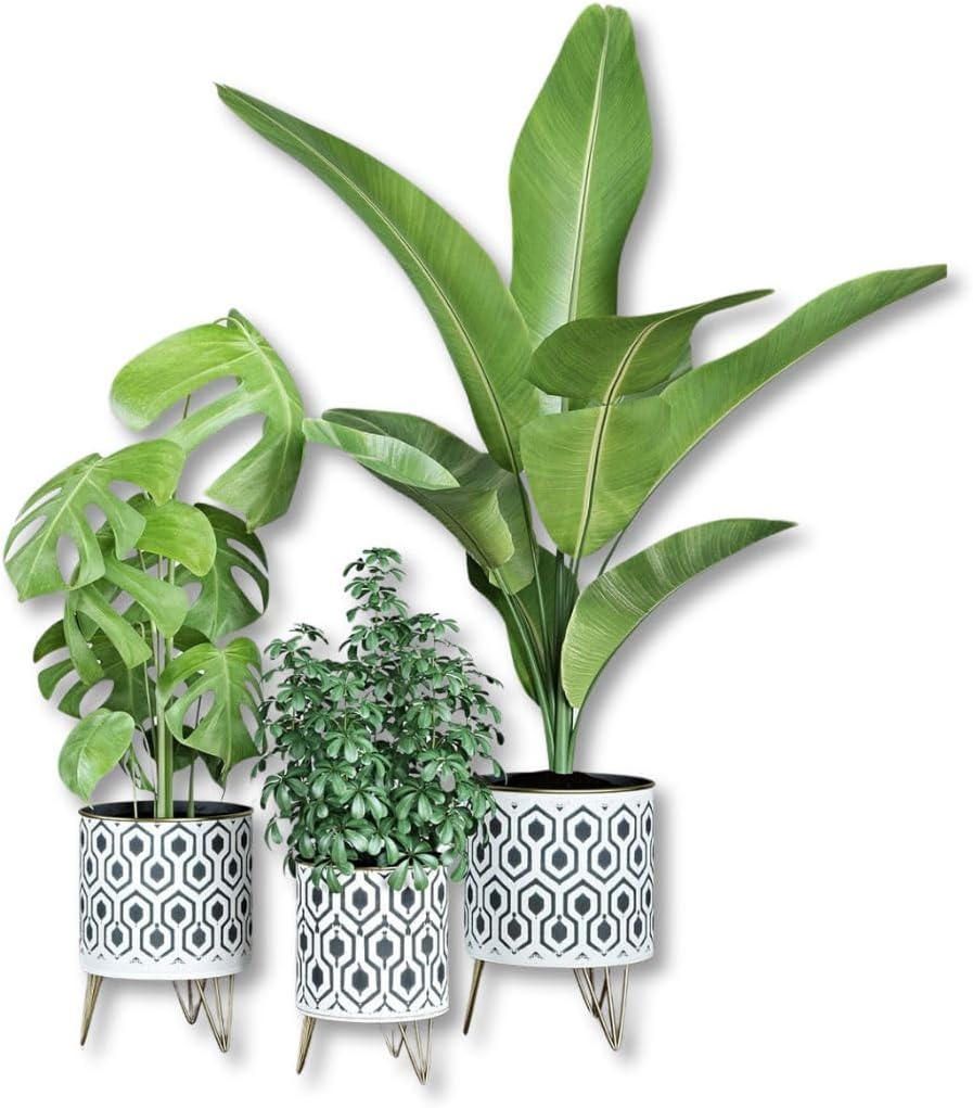 Andrey Metal Indoor Planter Set of 3, Bohemian Style Black & White Plant Pots with Gold Legs, Metal Indoor Boho Cachepots, Modern Home Decor Planters for Plants