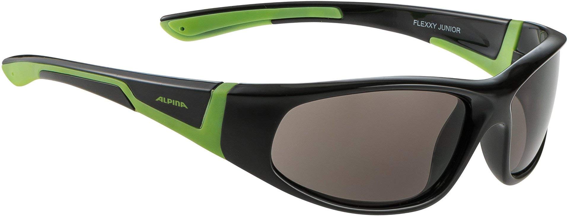 alpina sonnenbrille
