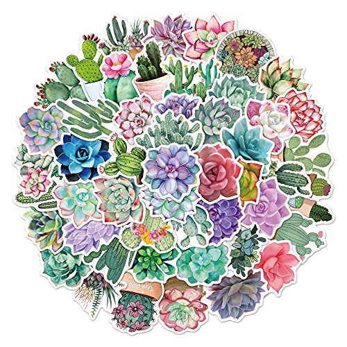 50Zbg AEO[vcE EK[fER`[t XebJ[ h fJ[   lC m[gp\R p\R Xm{ XP[g{[h ו X[cP[X M^[  X}zP[X XP{[ J[ ] oC