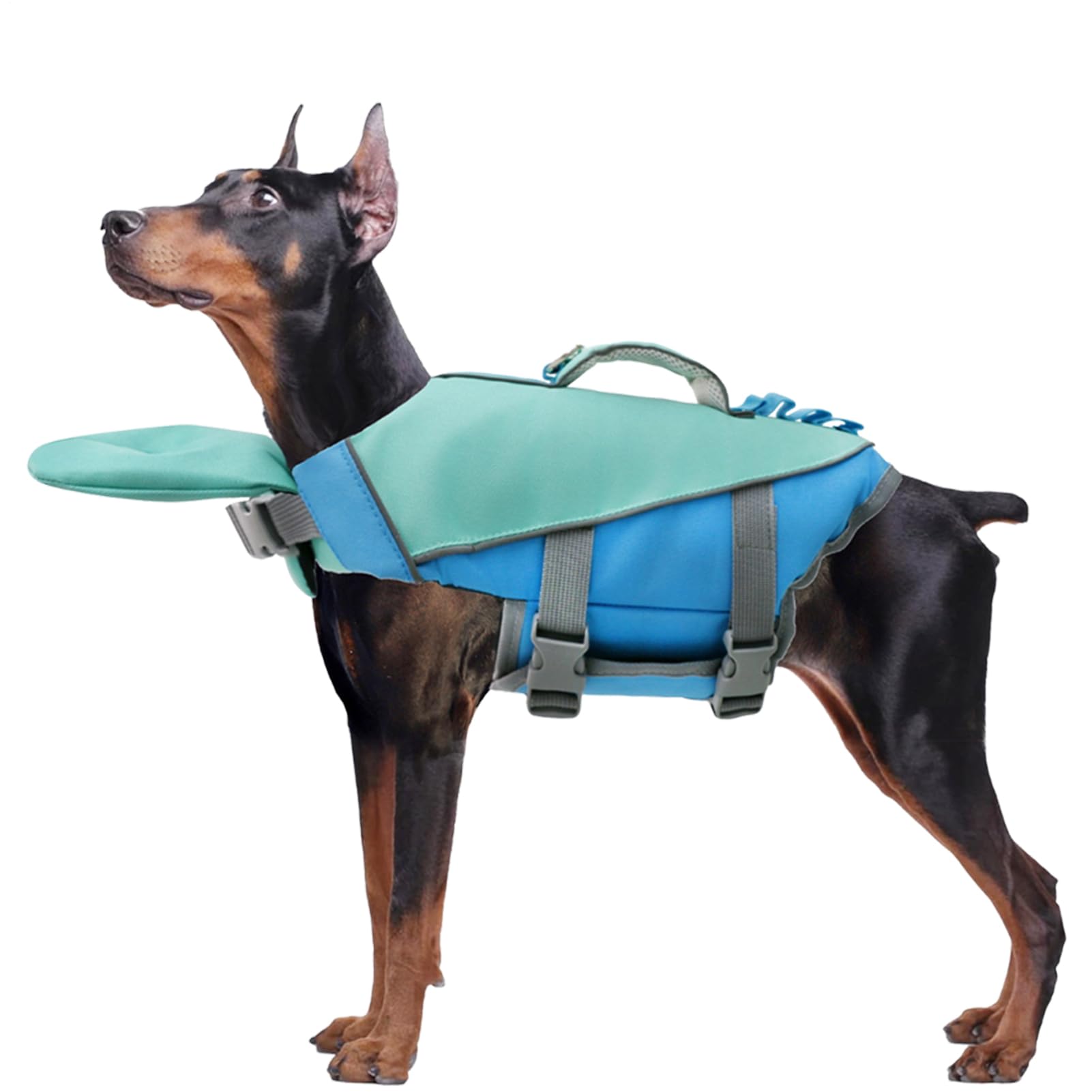 Gilet de sauvetage pour chiens réfléchissant pour piscine et plage de grande race