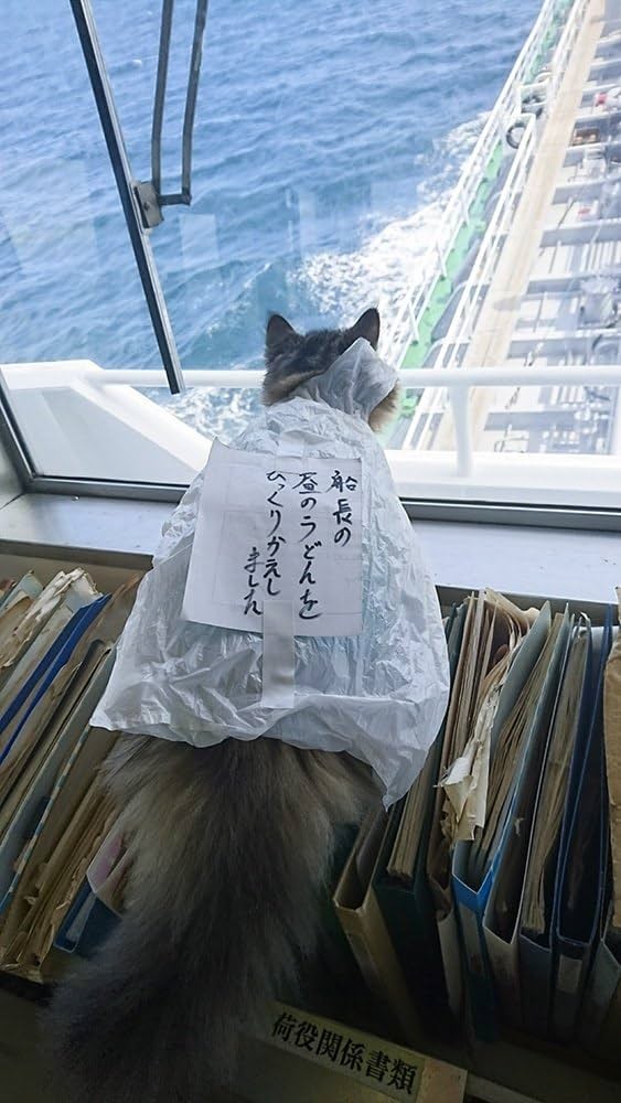 航海士にゃんこ カンパチ船長 | まさと船長, 前田悟志 |本 | 通販 | Amazon