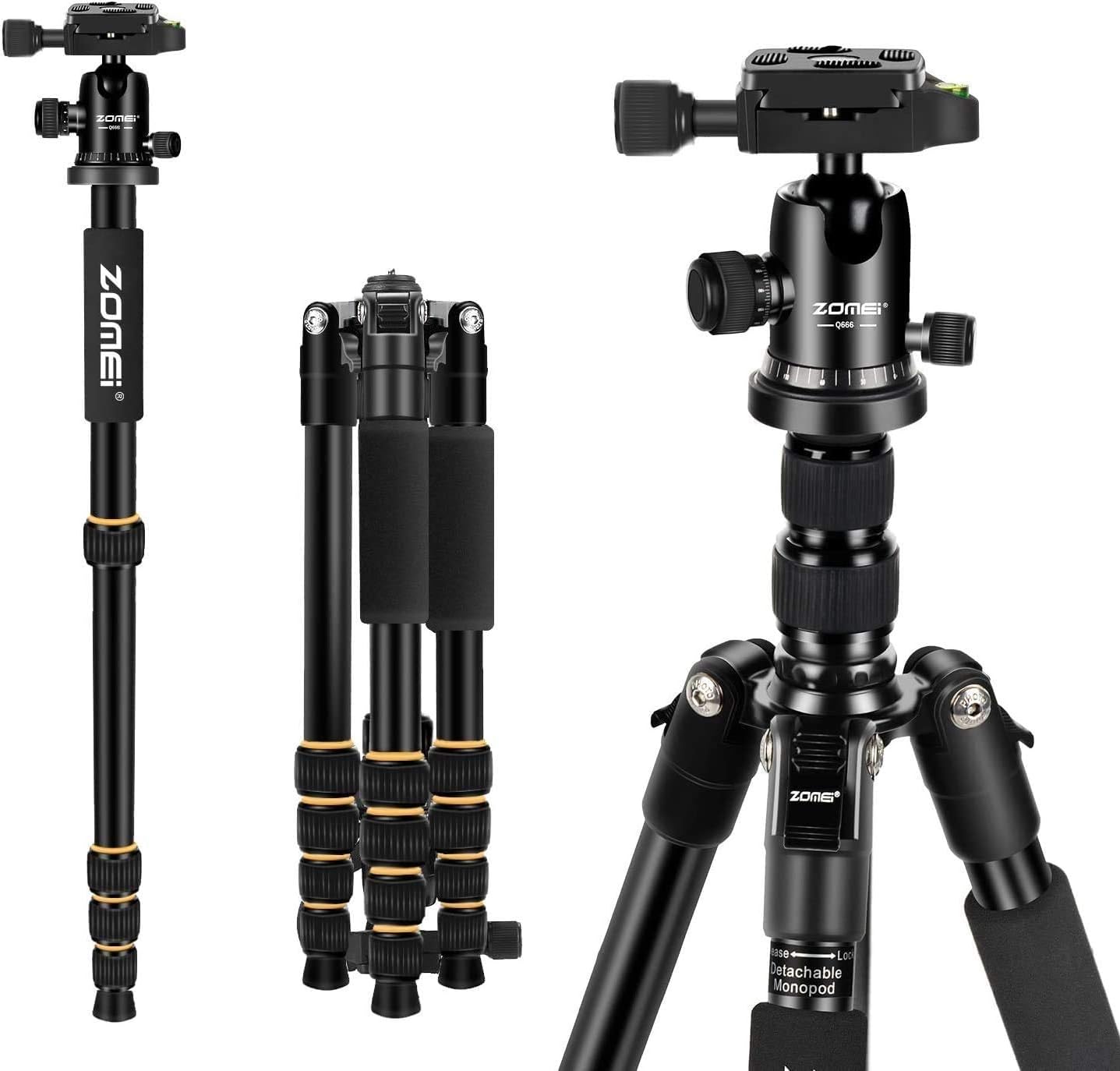 Camera Tripod 62" Light Weight DSLR Tripod with Ball Head Quick Release Plate and Carrying Case (Aluminum Tripod)