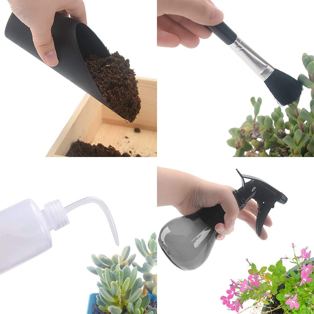 Calofun 40-teiliges Sukkulenten-Werkzeug-Set – Inkl. Arbeitsmatte, Töpfe, Tasche & Handschuhe, Perfekt Für Anfänger