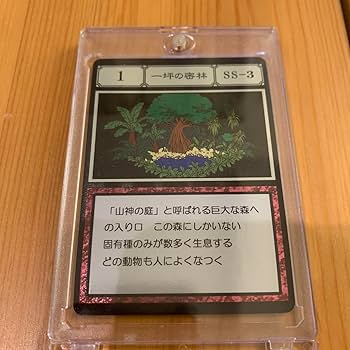 Amazon.co.jp: 一坪の密林 ハンターハンターグリードアイランド