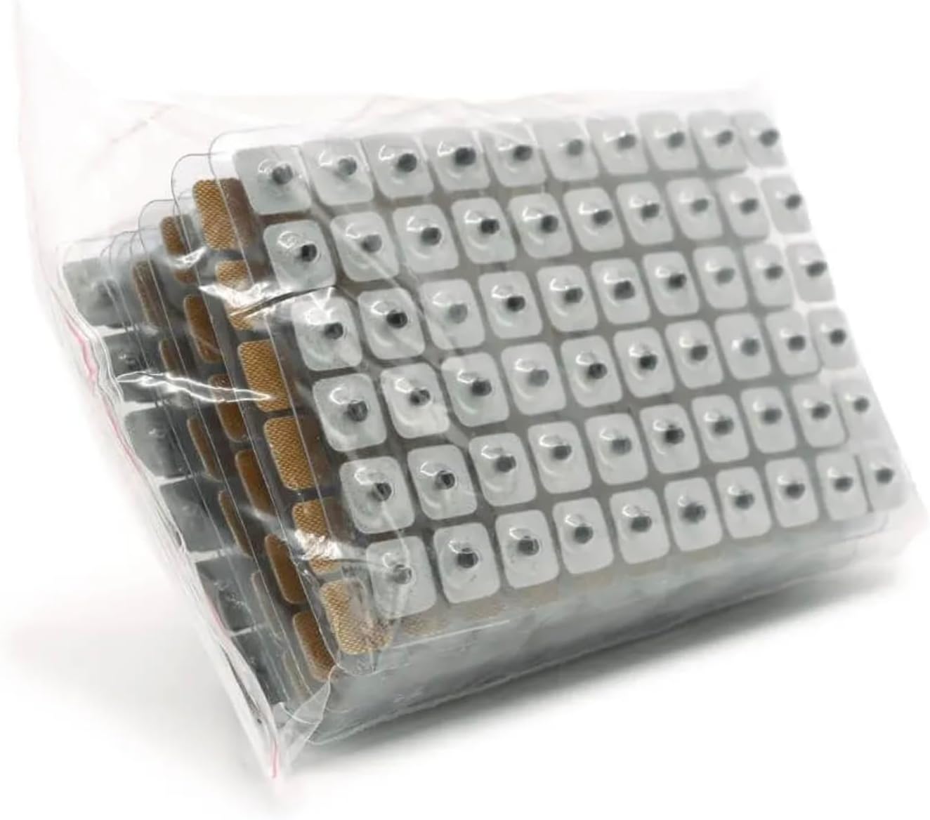 Vaccaria 600-T Ear Seeds pkg/600