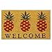 Calloway Mills 120351729R Pineapple Welcome Doormat