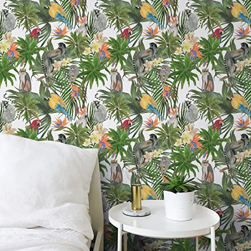 Chihut Forest Tropical Peel And Stick Wallpaper 17.7”X100” Jungle Palm Leaf Wallpaper Rainforest Animal Birds Monkey Removable Wallpaper Self Adhesive Floral Contact Paper For Kids Room Walls Shelves #TOP2