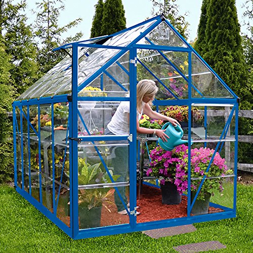 Gärtner Pötschke  Invernadero Blue Line 6 x 10