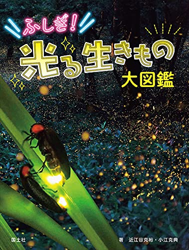 ふしぎ!光る生きもの大図鑑