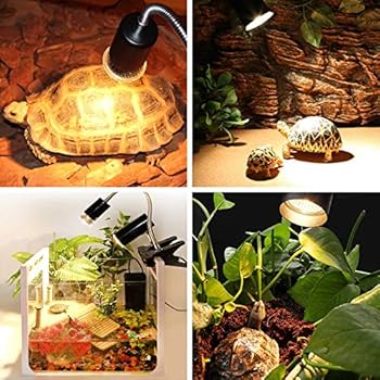 uvb lamp for tortoise