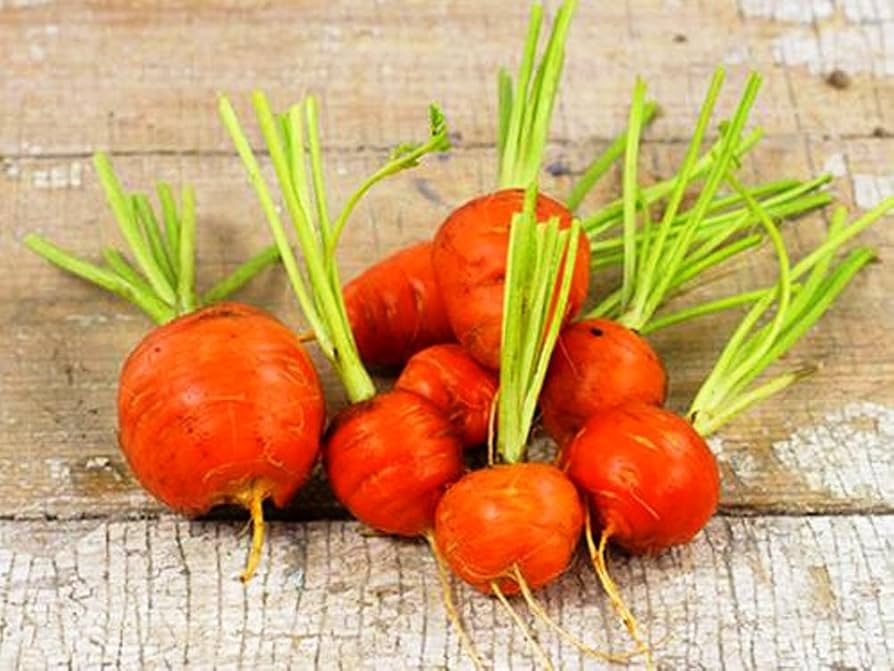 Amazon.com : NIKA SEEDS - Seeds Vegetable Carrot Parisian
