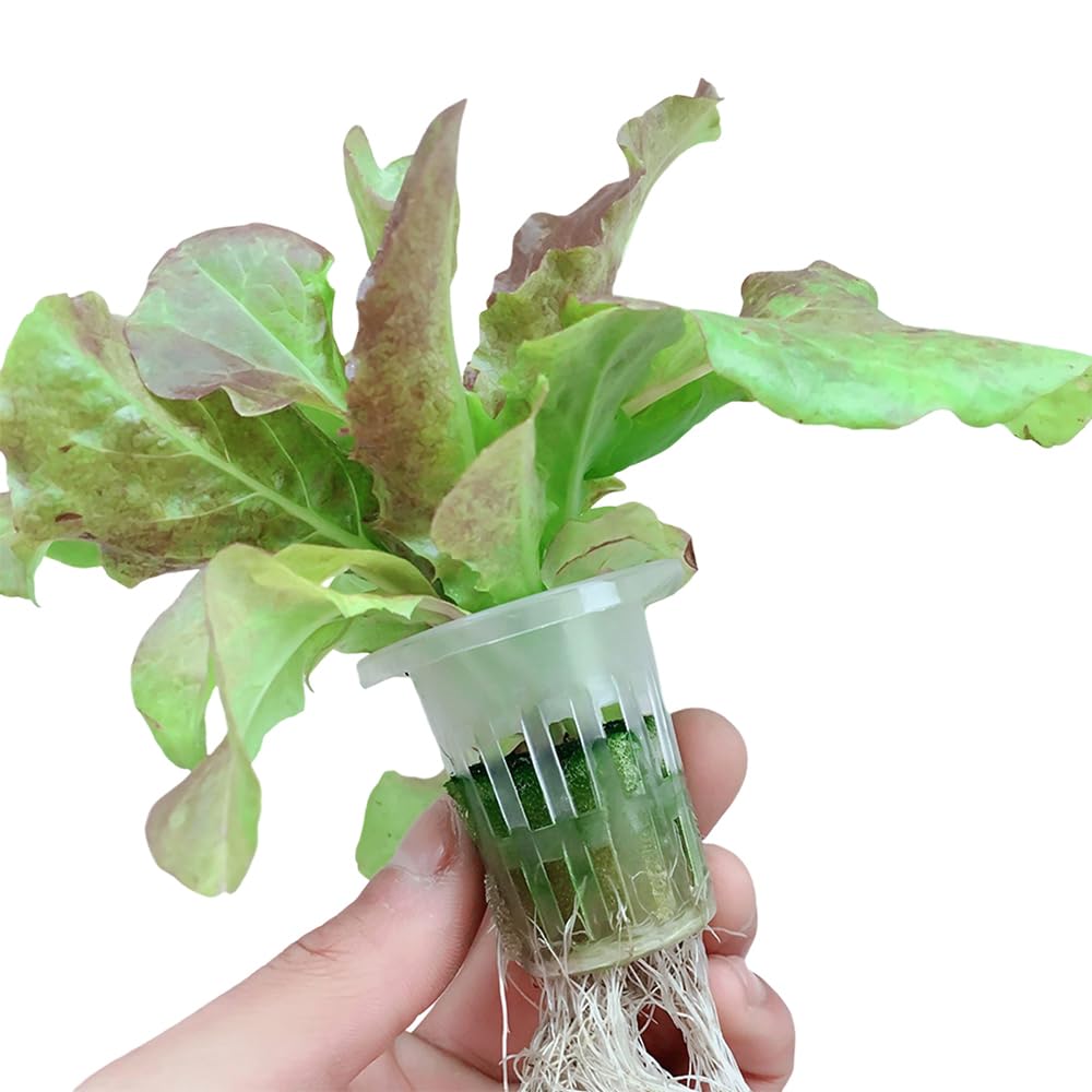 Kit Hydroponique 72 Trous 2 Couches Système PVC Culture Plantes Légumes Jardin Arrosage