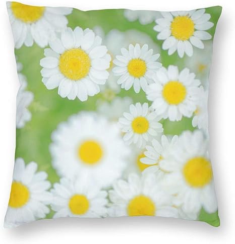Amazon Co Jp クッションカバー 60 60cm 正方形 マーガレットの花々 おしゃれ 北欧 雑貨 ソファ背当て 装飾枕カバー 座布団カバー 抱き枕カバー インテリア飾り 車用 家庭用 レストラン用 ホテル用 1枚セット ホーム キッチン