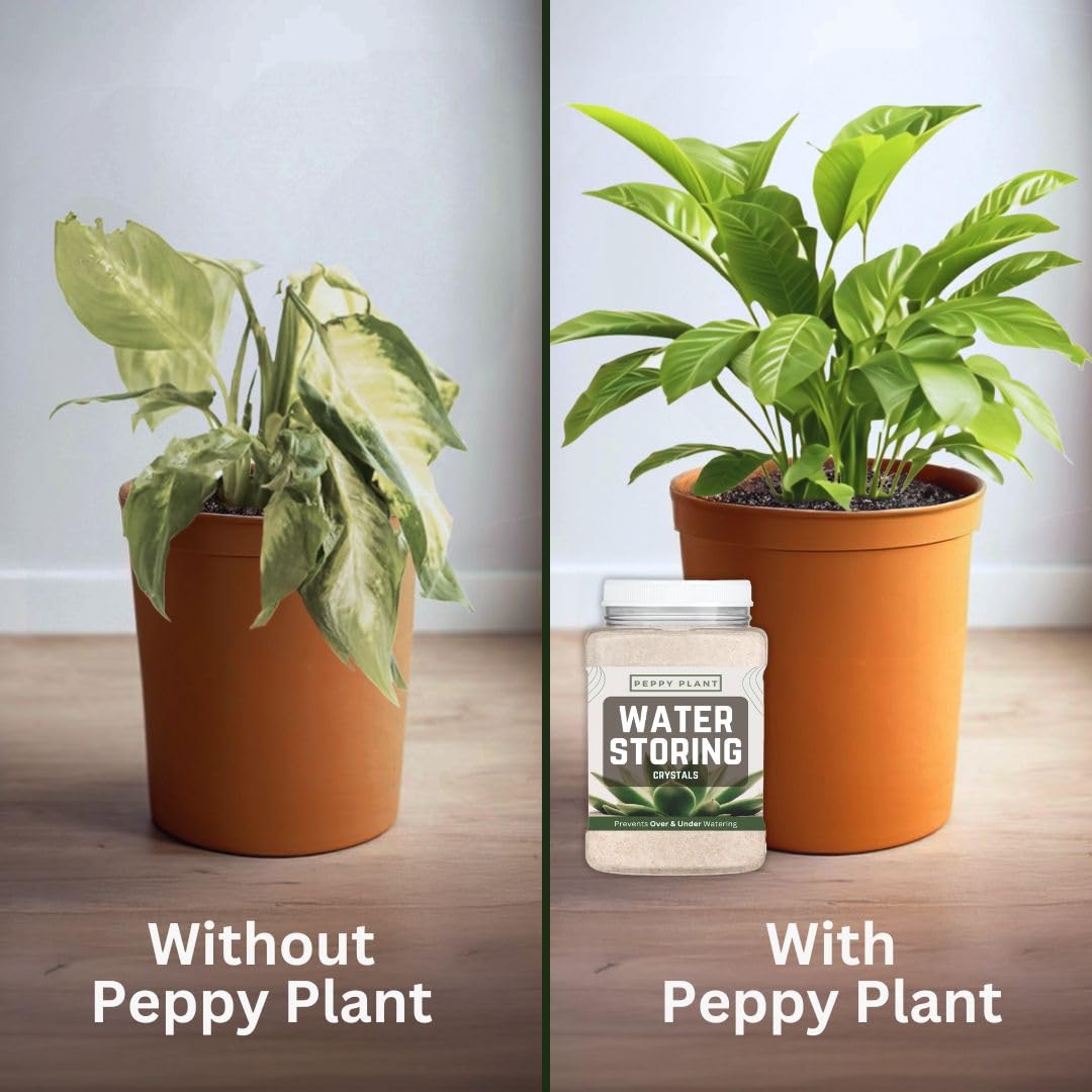 Amazon.com : 1lb (16oz) Peppy Plant Water Storing Crystals for Plants |  Long Lasting Water Absorbing Crystals for Indoor & Outdoor Plants | Reduce  Overwatering & Underwatering, Keeps Soil Moist & Aerated :