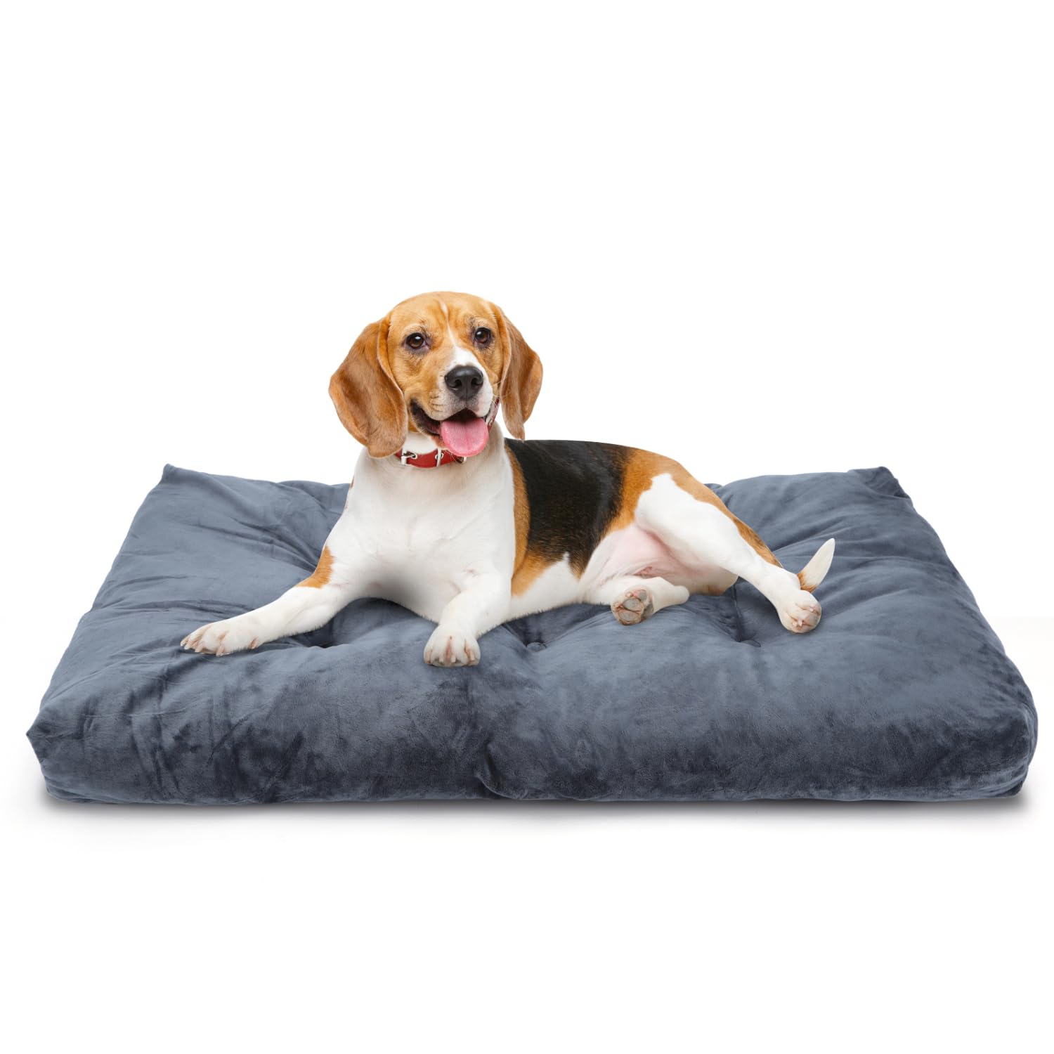 Nobleza Cama Perros Medianos, Cama Perro Lavable, Cama para Perros, Suave y Esponjoso, Cama de Perro Antideslizante, Gris Oscuro, 80x50cm