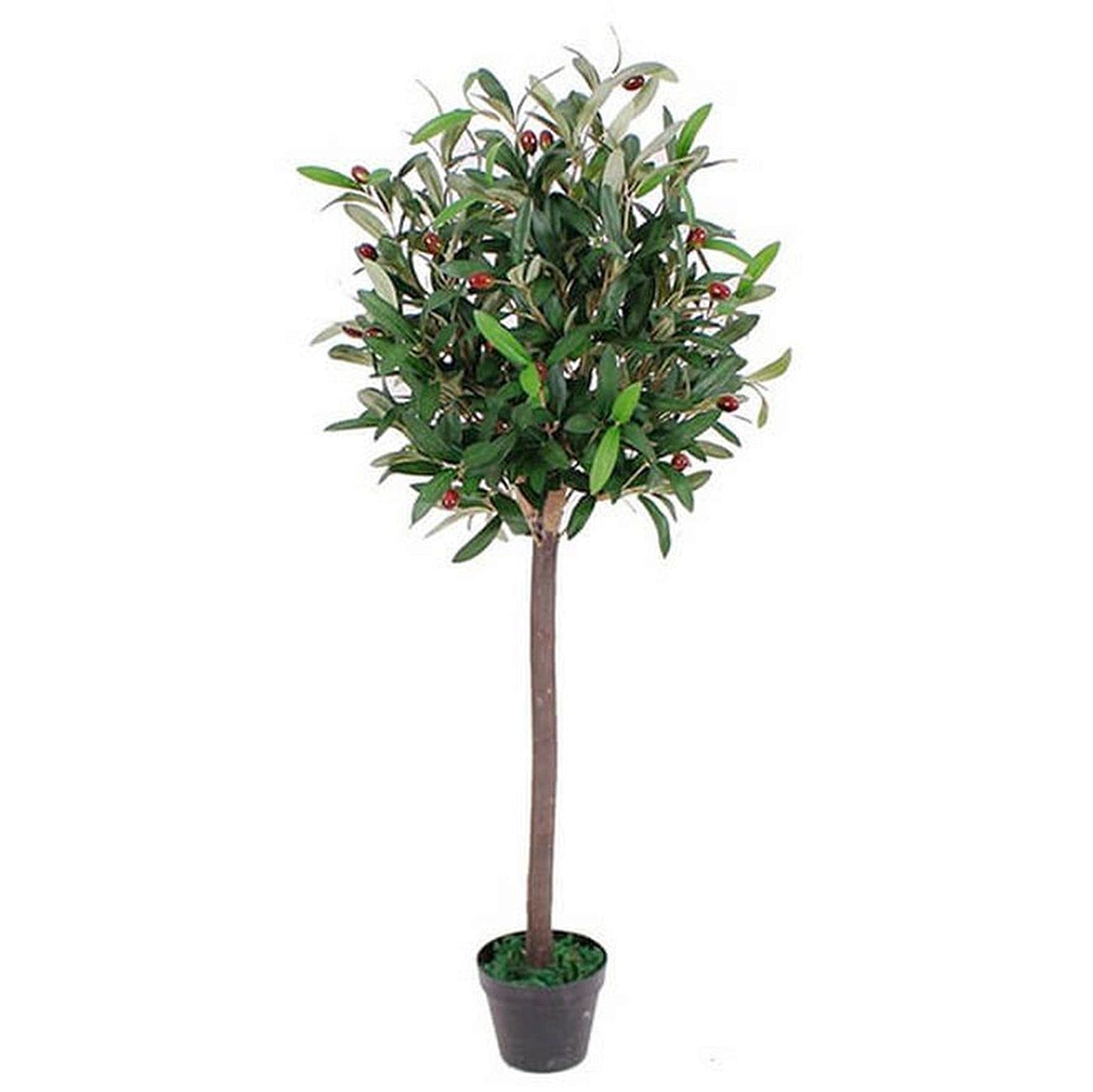 Realistic Artificial Olive Tree Real Wood Trunk.